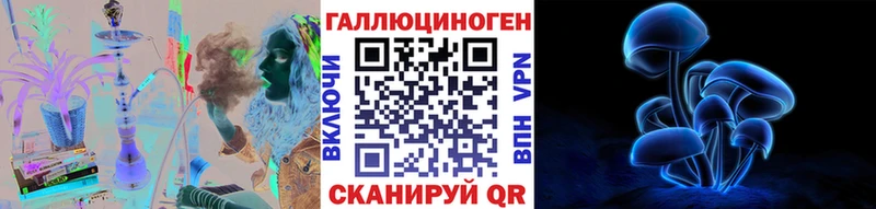 Псилоцибиновые грибы Psilocybe Кемь